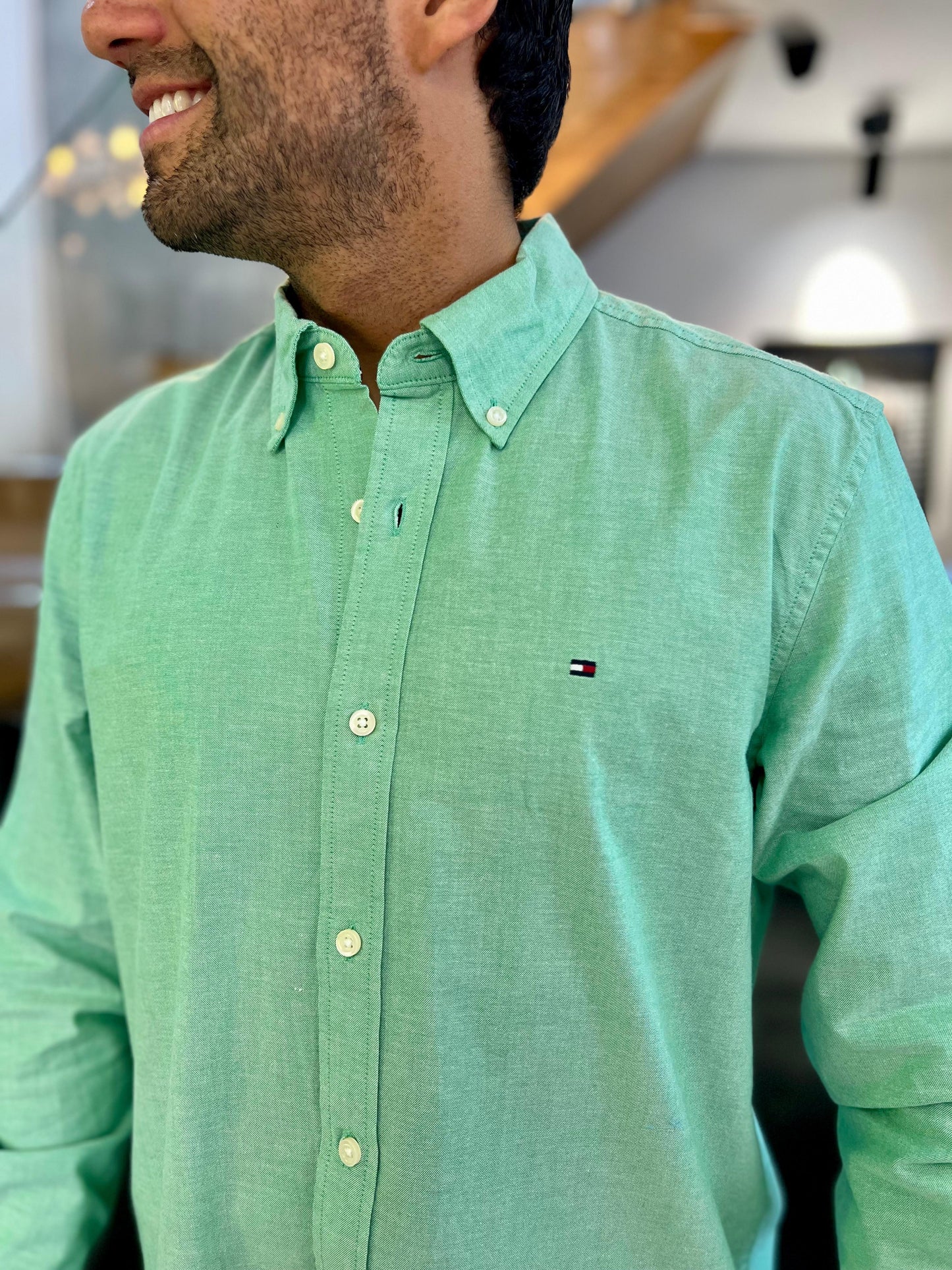 Camisa Tommy Hilfiger Oxford Verde