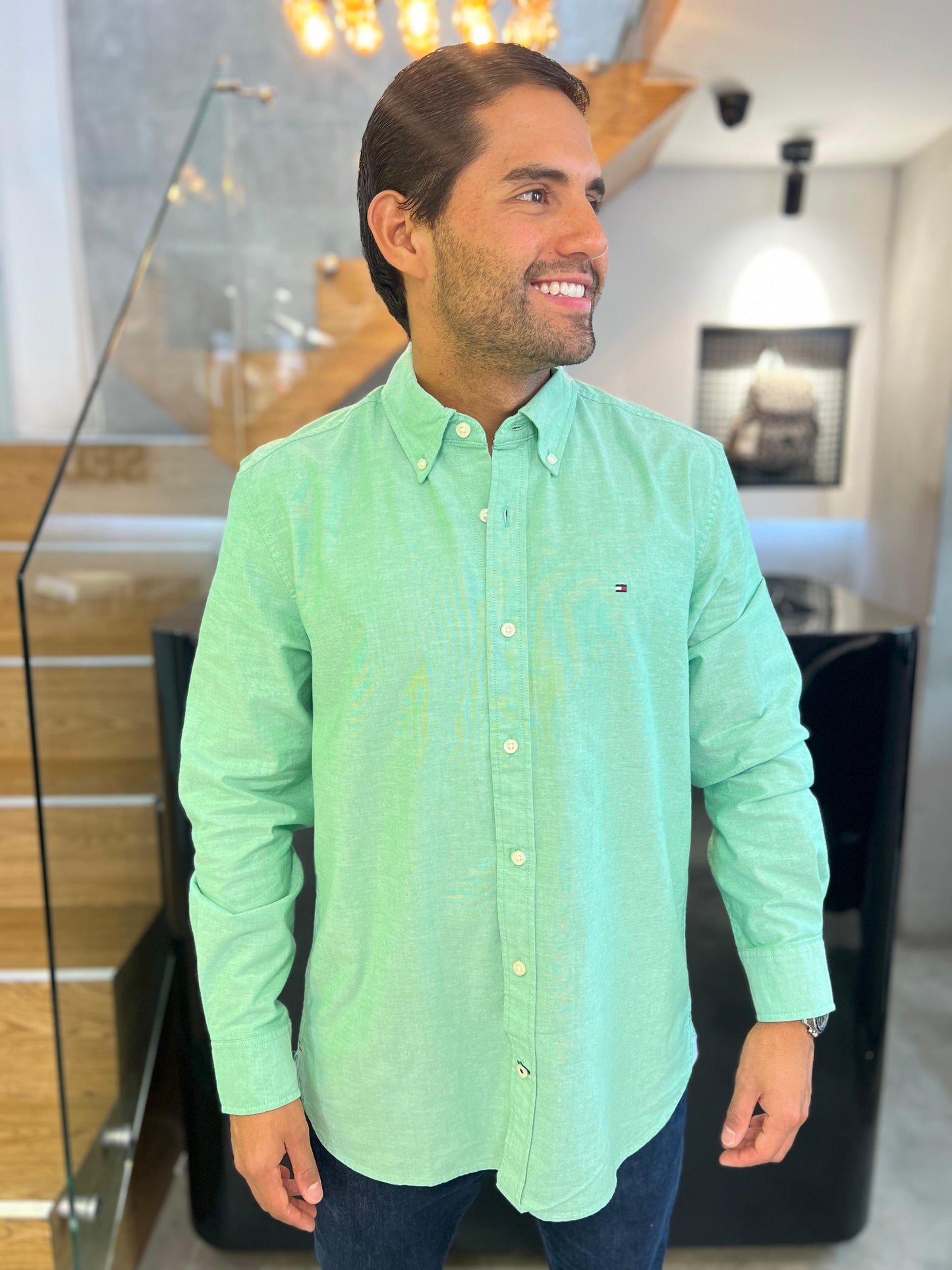 Camisa Tommy Hilfiger Oxford Verde