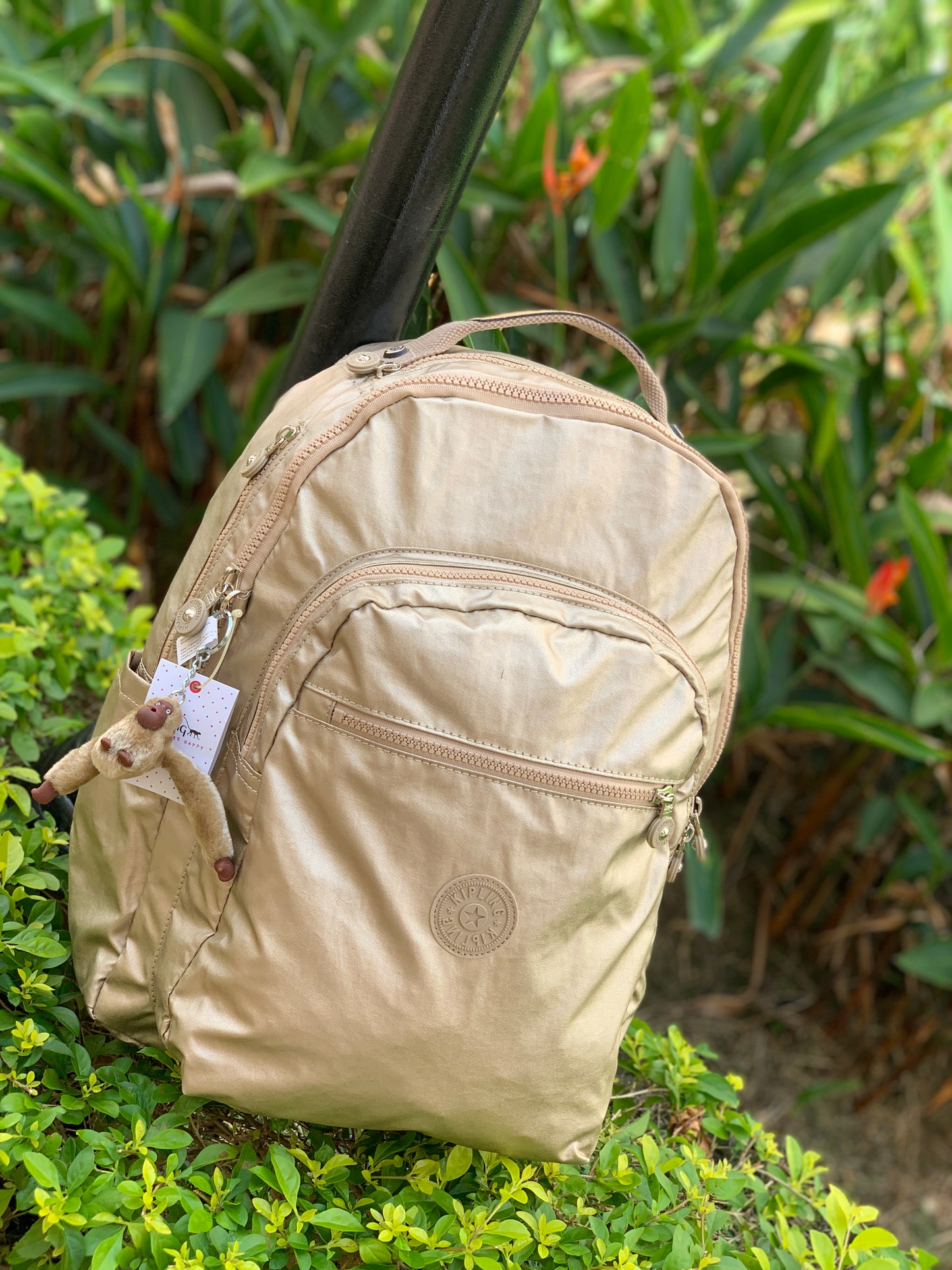 Morral Talla L Dorado