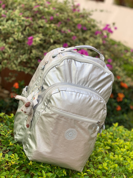 Morral Talla L Plateado