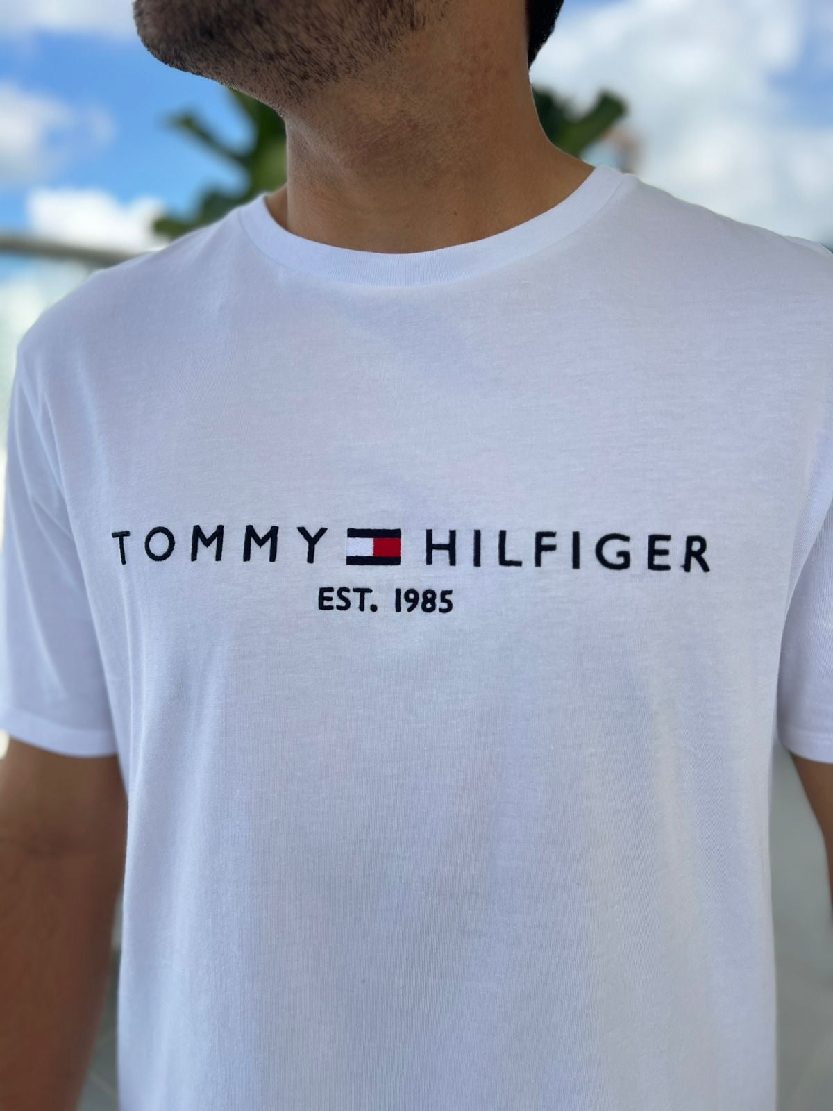 Camiseta Tommy Hilfiger hombre